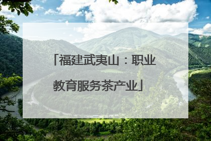 福建武夷山：职业教育服务茶产业