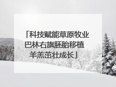 科技赋能草原牧业 巴林右旗胚胎移植羊羔茁壮成长