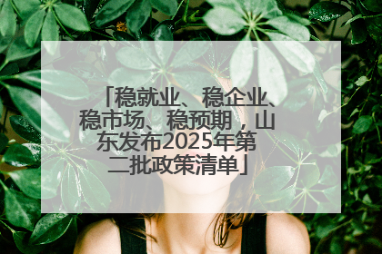 稳就业、稳企业、稳市场、稳预期，山东发布2025年第二批政策清单