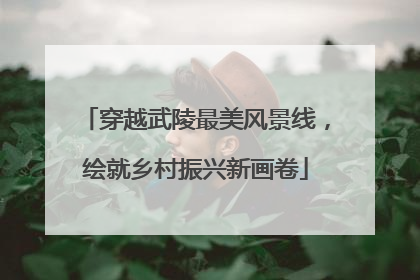 穿越武陵最美风景线，绘就乡村振兴新画卷