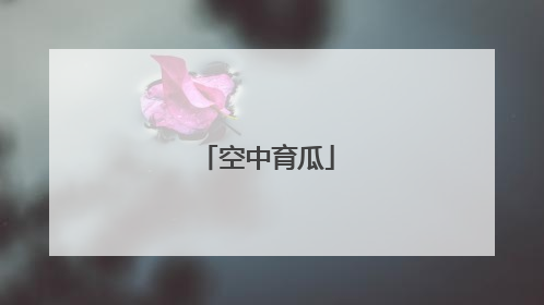 空中育瓜