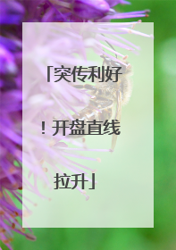突传利好！开盘直线拉升