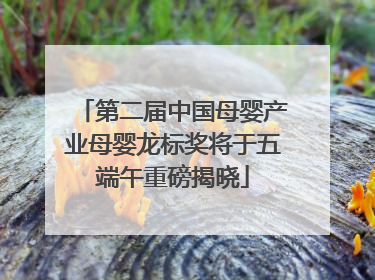 第二届中国母婴产业母婴龙标奖将于五端午重磅揭晓