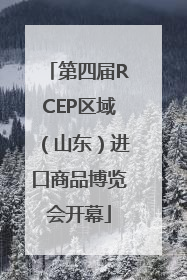 第四届RCEP区域（山东）进口商品博览会开幕