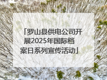 罗山县供电公司开展2025年国际档案日系列宣传活动