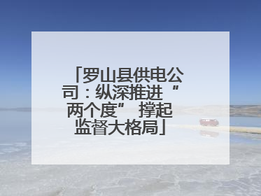 罗山县供电公司：纵深推进“两个度” 撑起监督大格局