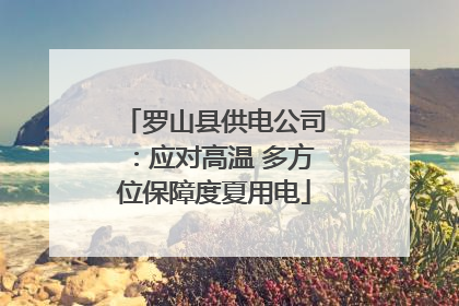 罗山县供电公司：应对高温 多方位保障度夏用电