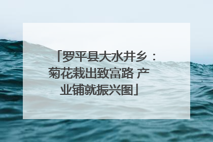 罗平县大水井乡：菊花栽出致富路 产业铺就振兴图