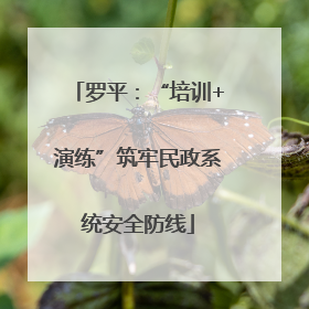 罗平：“培训+演练”筑牢民政系统安全防线