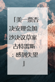 美一票否决安理会加沙决议草案 古特雷斯：感到失望