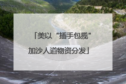 美以“插手包揽”加沙人道物资分发