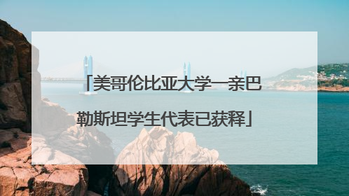 美哥伦比亚大学一亲巴勒斯坦学生代表已获释
