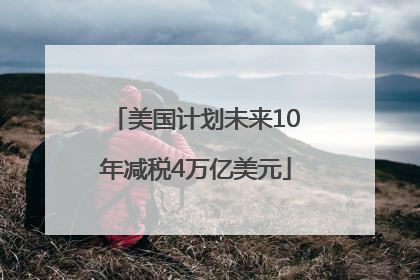美国计划未来10年减税4万亿美元