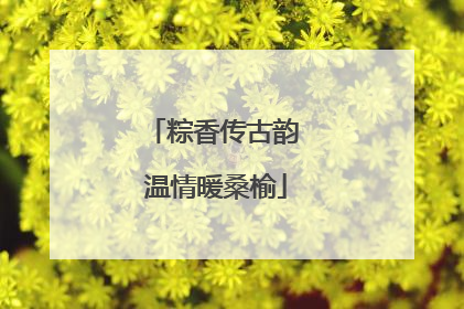 粽香传古韵 温情暖桑榆