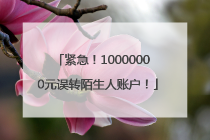 紧急！10000000元误转陌生人账户！