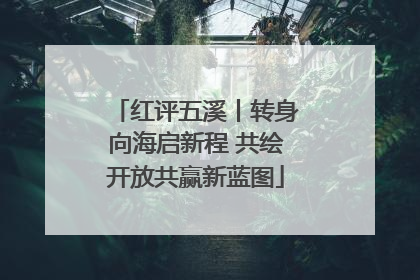红评五溪丨转身向海启新程 共绘开放共赢新蓝图