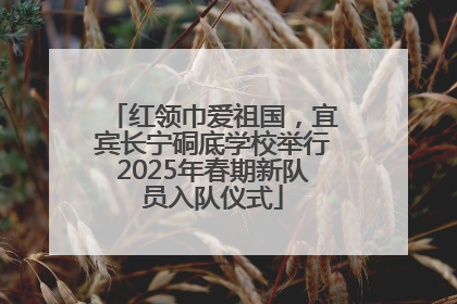 红领巾爱祖国，宜宾长宁硐底学校举行2025年春期新队员入队仪式