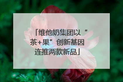 维他奶集团以“茶+果”创新基因连推两款新品