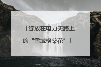 绽放在电力天路上的“雪域格桑花”