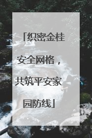 织密金桂安全网格，共筑平安家园防线