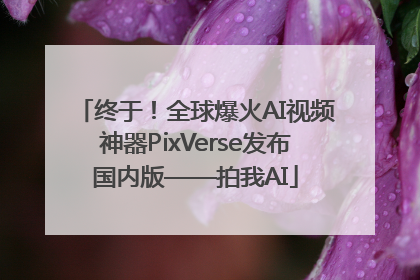 终于！全球爆火AI视频神器PixVerse发布国内版——拍我AI