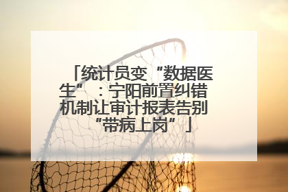 统计员变“数据医生”：宁阳前置纠错机制让审计报表告别“带病上岗”