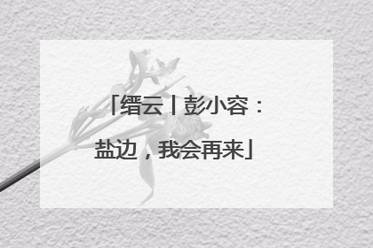 缙云丨彭小容：盐边，我会再来