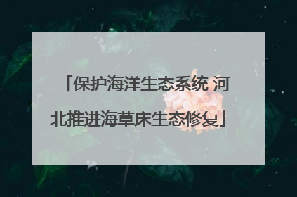 保护海洋生态系统 河北推进海草床生态修复