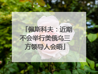 佩斯科夫：近期不会举行美俄乌三方领导人会晤