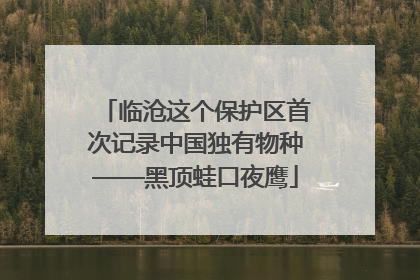 临沧这个保护区首次记录中国独有物种——黑顶蛙口夜鹰