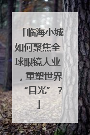临海小城如何聚焦全球眼镜大业，重塑世界“目光”？
