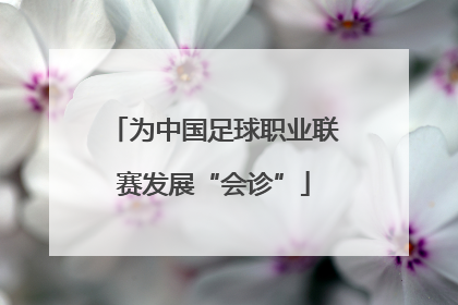 为中国足球职业联赛发展“会诊”