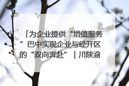 为企业提供“增值服务”巴中实现企业与经开区的“双向奔赴”｜川陕渝网络名人巴中行
