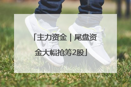 主力资金｜尾盘资金大幅抢筹2股