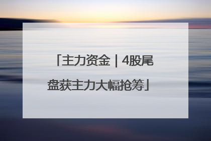 主力资金｜4股尾盘获主力大幅抢筹