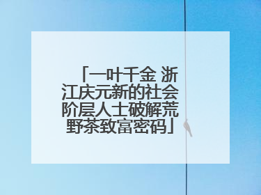 一叶千金 浙江庆元新的社会阶层人士破解荒野茶致富密码