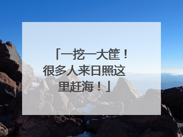 一挖一大筐！很多人来日照这里赶海！