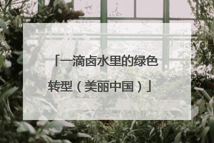 一滴卤水里的绿色转型（美丽中国）