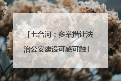 七台河：多举措让法治公安建设可感可触