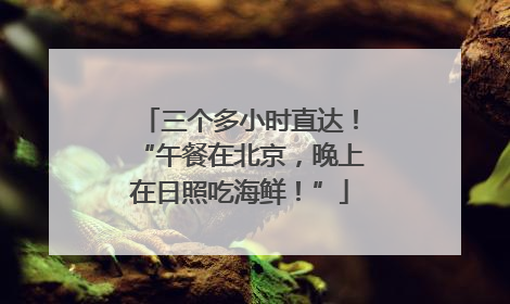 三个多小时直达！“午餐在北京，晚上在日照吃海鲜！”