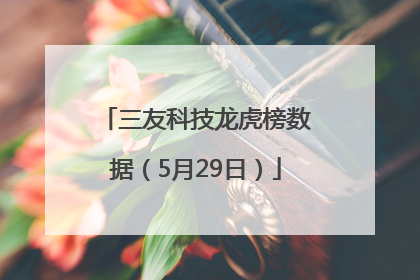 三友科技龙虎榜数据（5月29日）