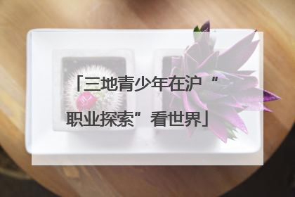 三地青少年在沪“职业探索”看世界