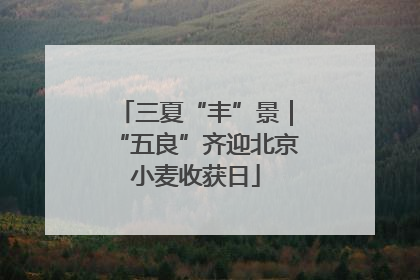 三夏“丰”景｜“五良”齐迎北京小麦收获日