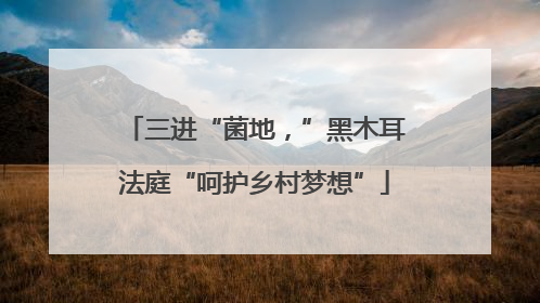 三进“菌地，”黑木耳法庭“呵护乡村梦想”