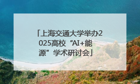 上海交通大学举办2025高校“AI+能源”学术研讨会