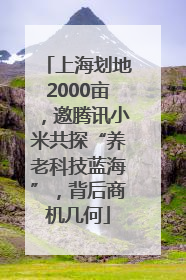 上海划地2000亩，邀腾讯小米共探“养老科技蓝海”，背后商机几何