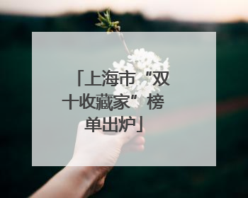 上海市“双十收藏家”榜单出炉