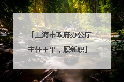 上海市政府办公厅主任王平，履新职