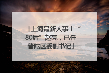 上海最新人事！“80后”赵亮，已任普陀区委副书记