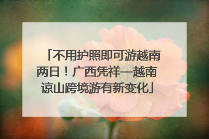 不用护照即可游越南两日！广西凭祥—越南谅山跨境游有新变化